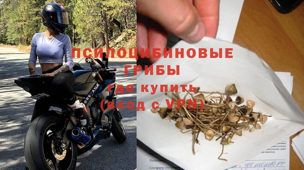гидропоника Ладушкин