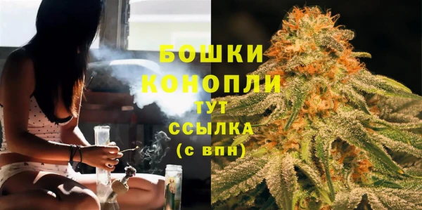 гидропоника Ладушкин