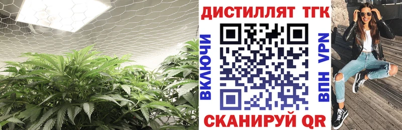 ТГК THC oil сколько стоит Оренбург