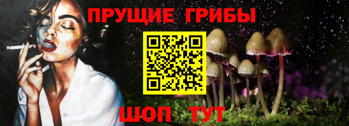 Оренбург  Галлюциногенные грибы ЛСД  Вход с VPN 